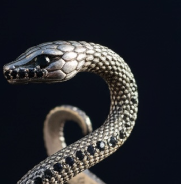 The Shadow Covenant Serpents Cuff