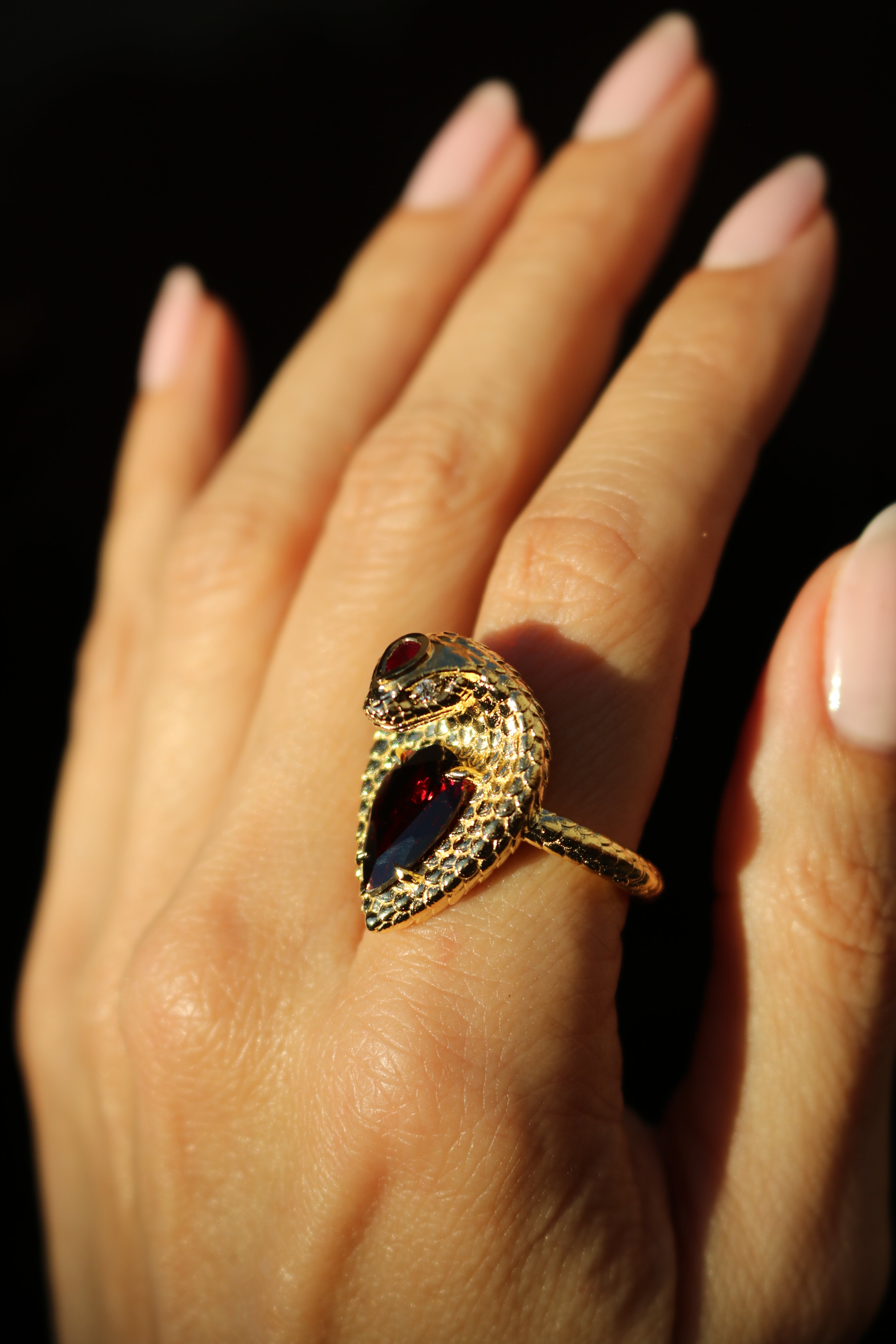 Heart of the Cobra Ring