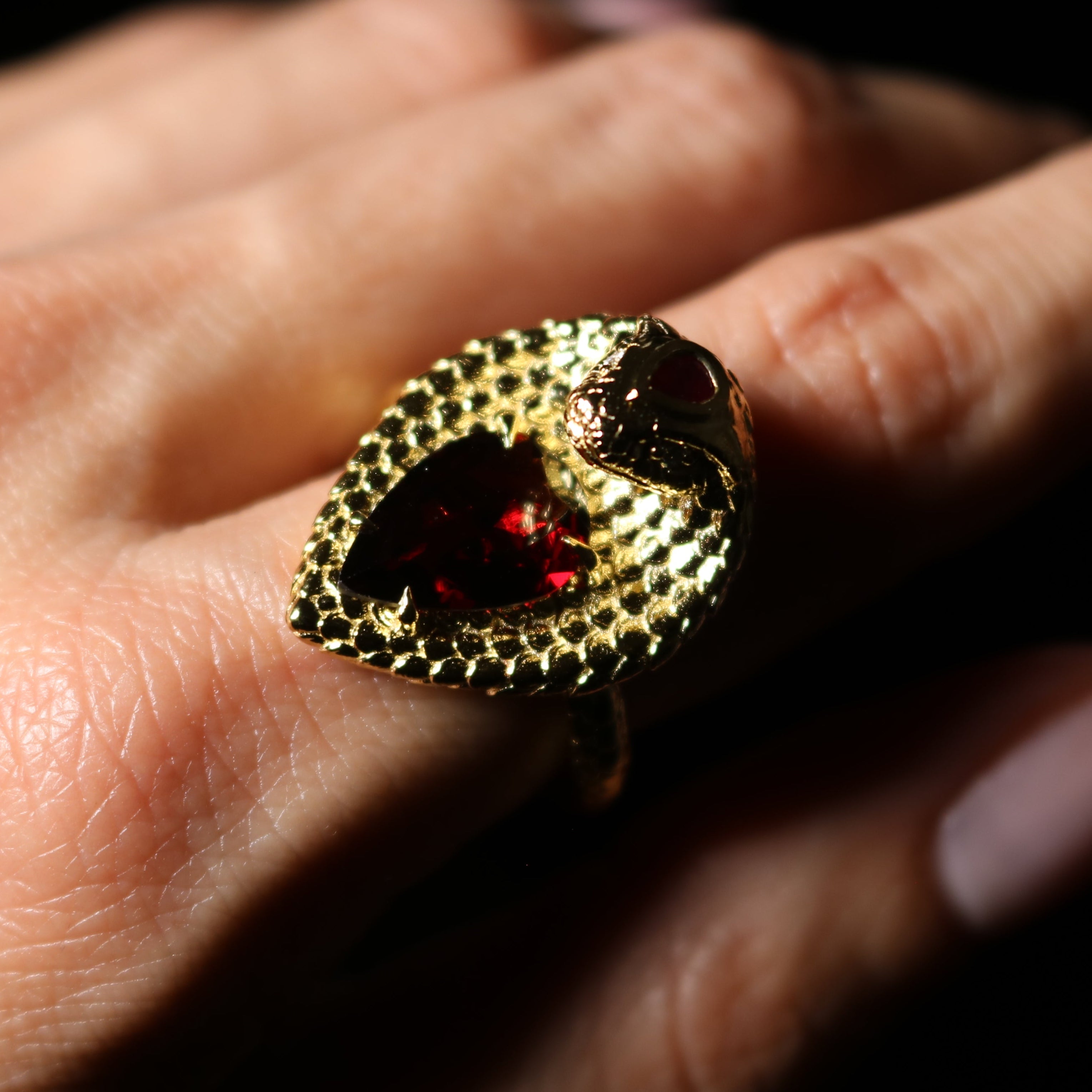 Heart of the Cobra Ring
