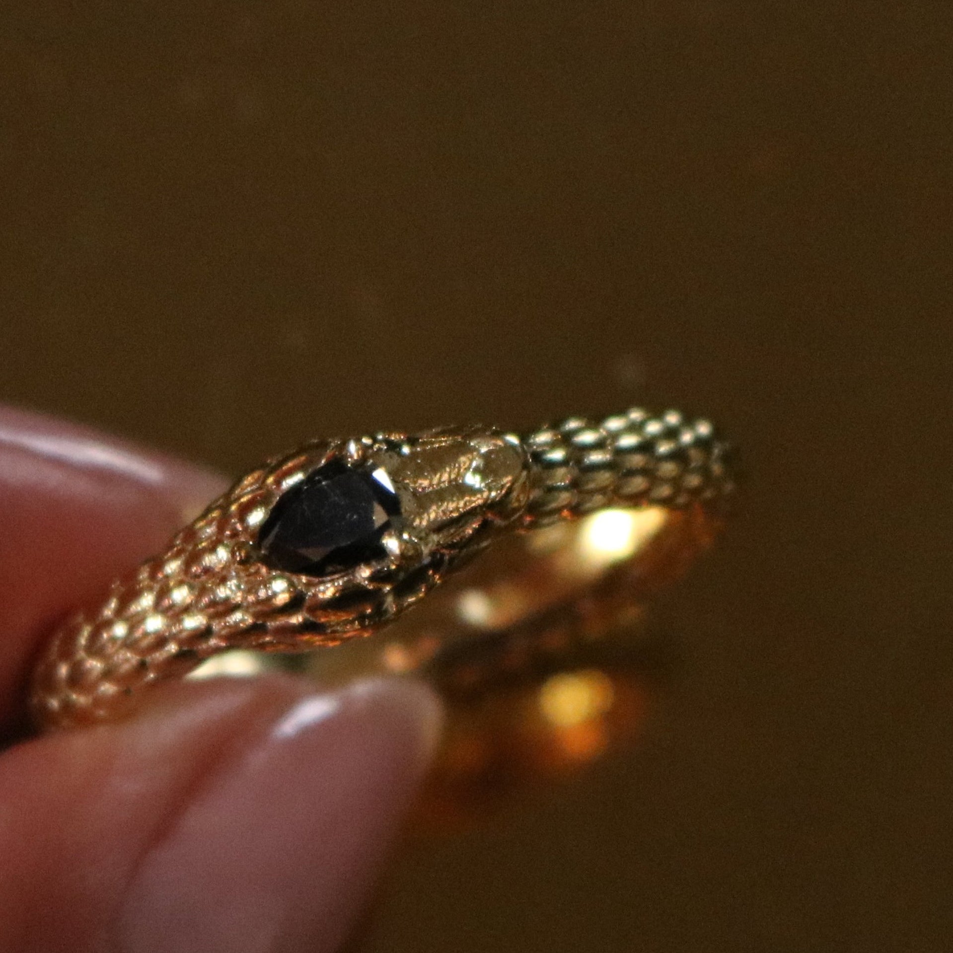 Ouroboros Ring