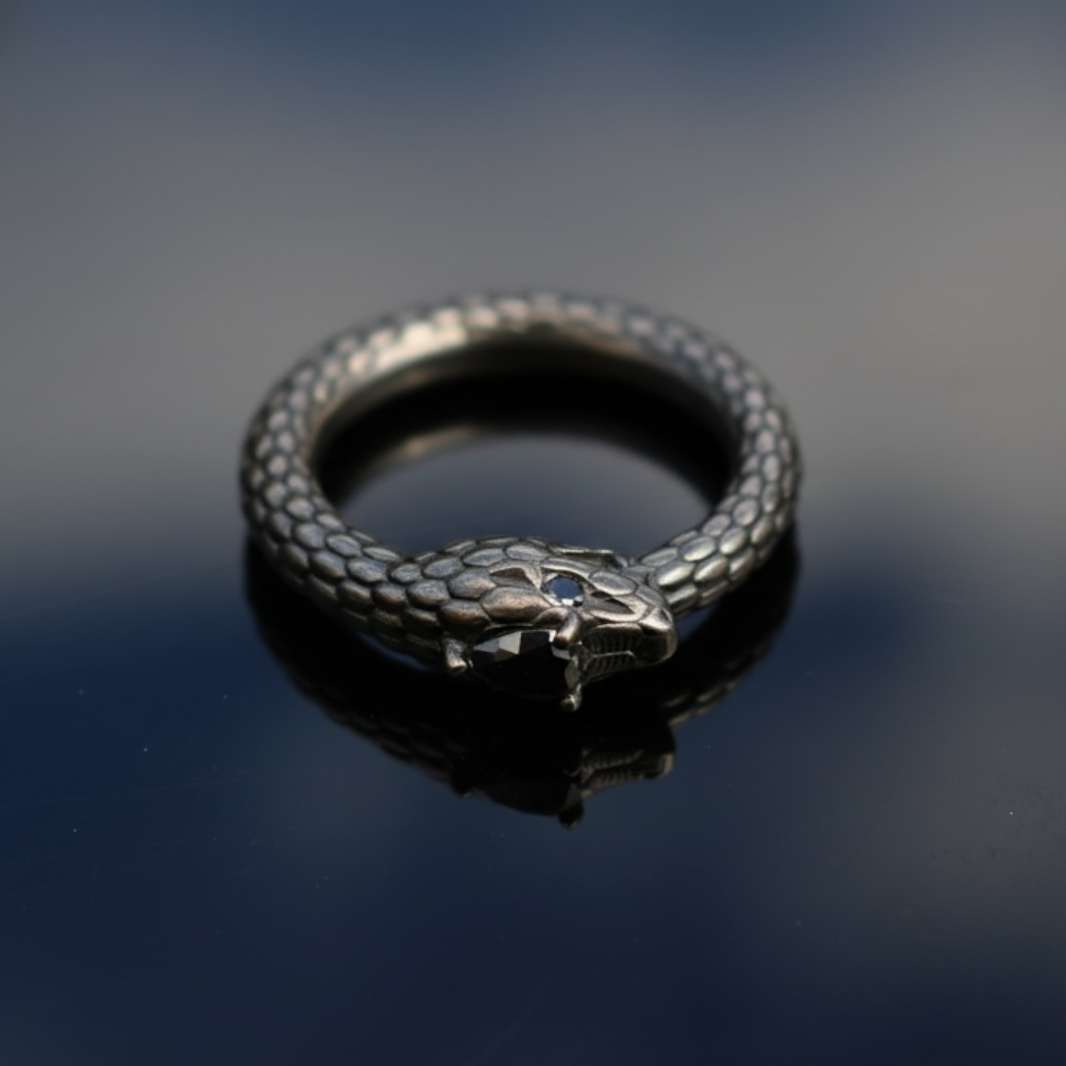 The Sovereign Ouroboros Ring